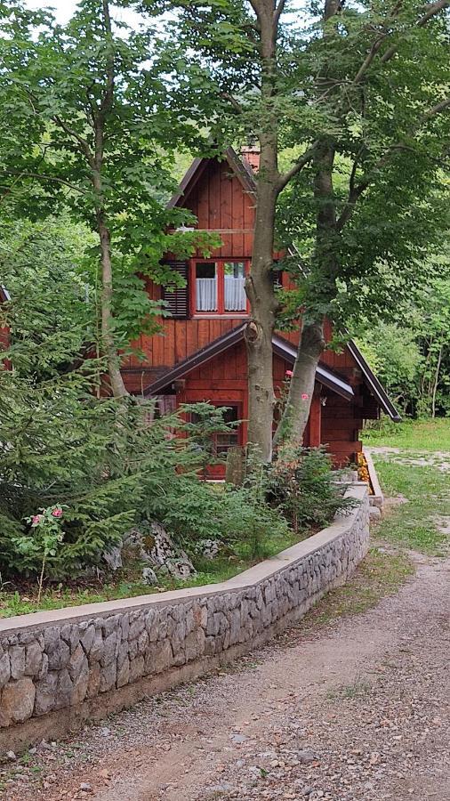 Kuca Za Odmor "Med Strmci" Villa Zlobin Bagian luar foto
