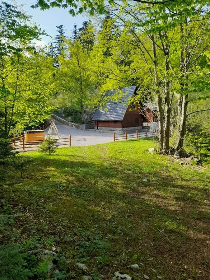 Kuca Za Odmor "Med Strmci" Villa Zlobin Bagian luar foto