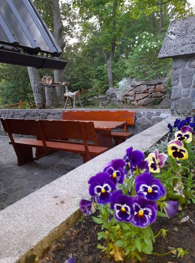 Kuca Za Odmor "Med Strmci" Villa Zlobin Bagian luar foto