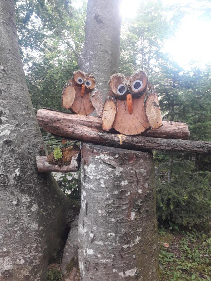 Kuca Za Odmor "Med Strmci" Villa Zlobin Bagian luar foto