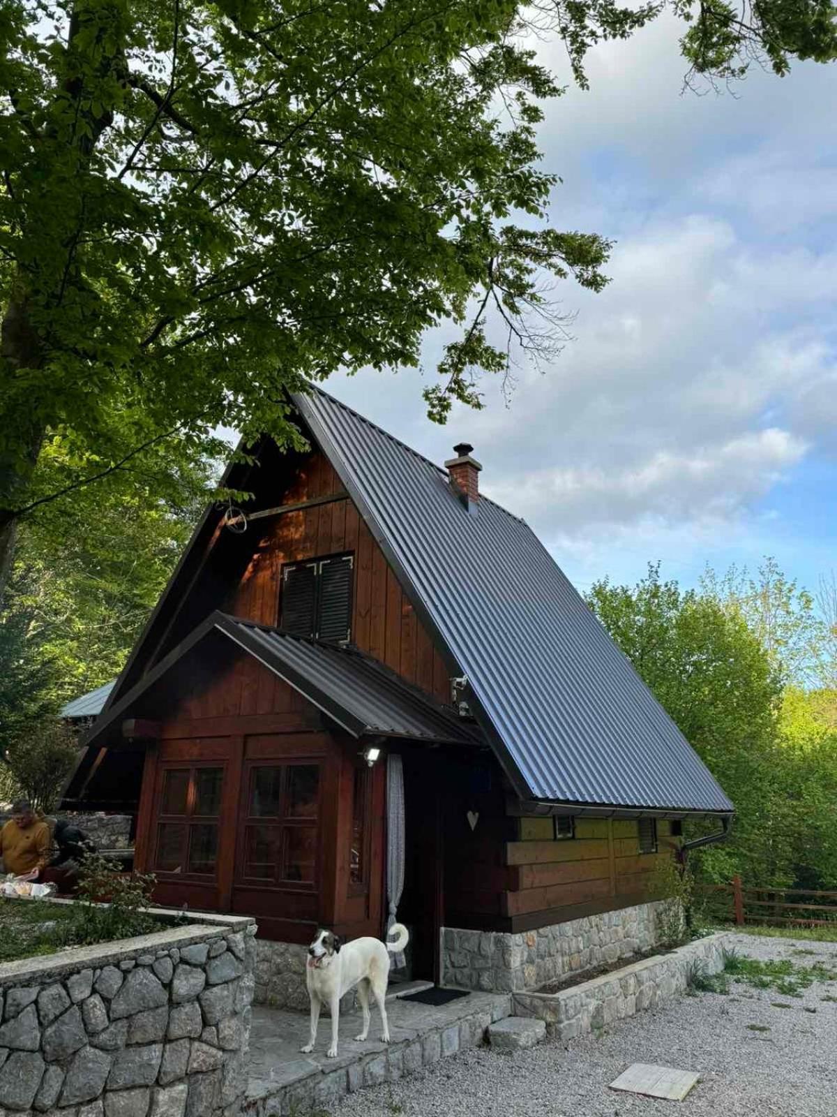 Kuca Za Odmor "Med Strmci" Villa Zlobin Bagian luar foto